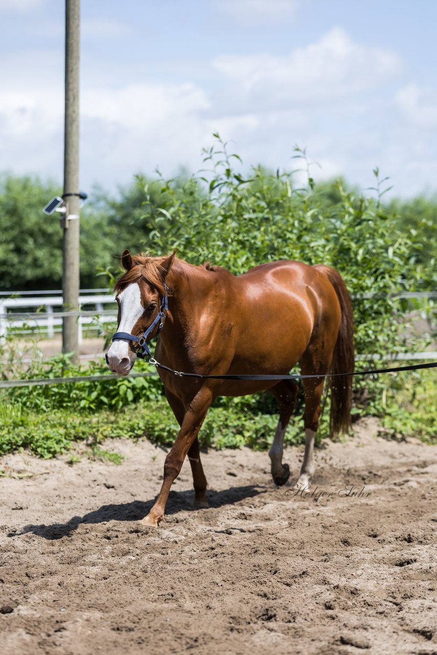 Bild 157 - Vivi